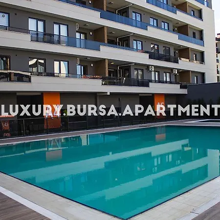 Apartament Bursa *
