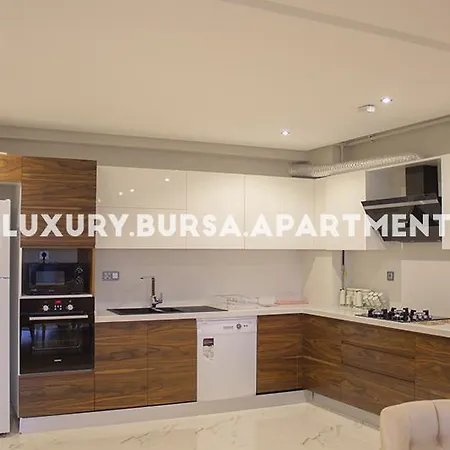 Bursa Apartament Bursa
