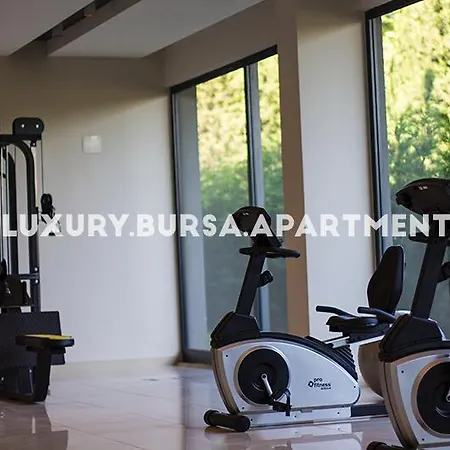 Apartament Bursa *