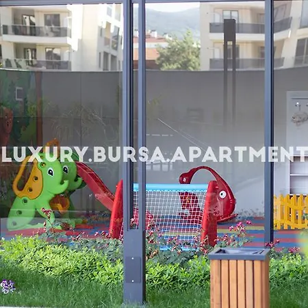 Bursa