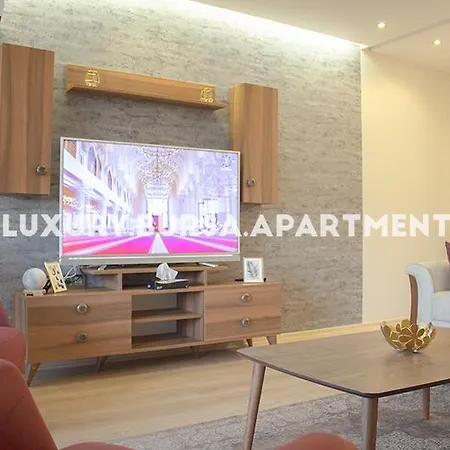 Apartament Bursa *
