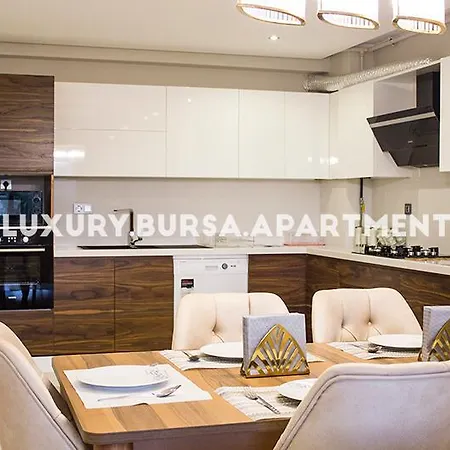 Bursa Apartament *