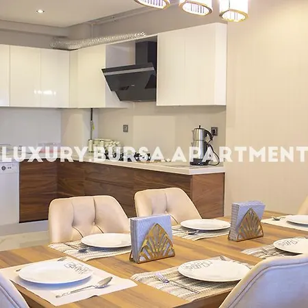Apartament Bursa