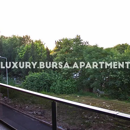 Bursa *