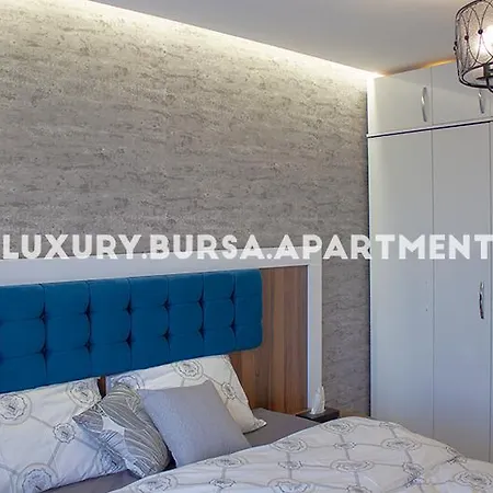 Apartament Bursa *