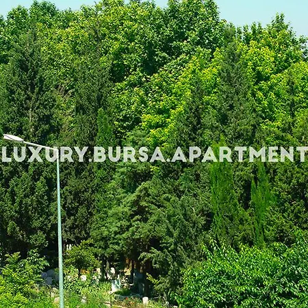 Apartament Bursa Bursa