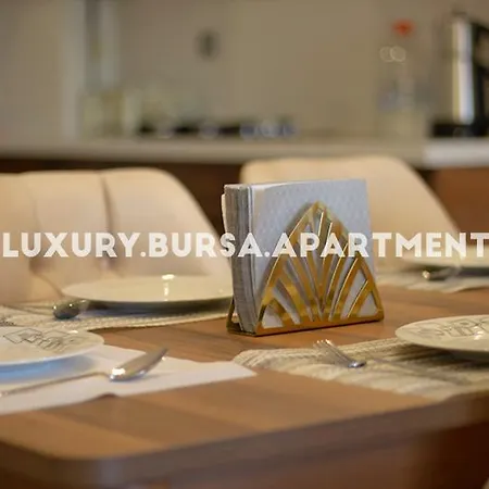 Apartament Bursa Bursa