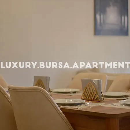 Apartament Bursa *