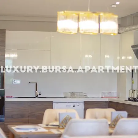 Apartament Bursa Bursa